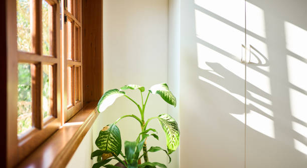 「４ハウスが示す心の土台。柔らかな光が差し込む窓辺で、心が安らぐ瞬間。