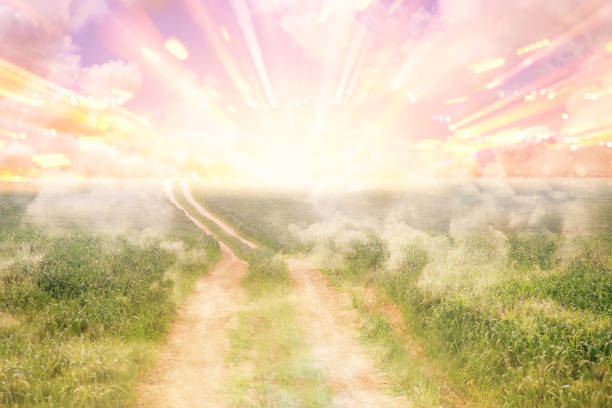 魂の旅を象徴する光の道を進むイメージ